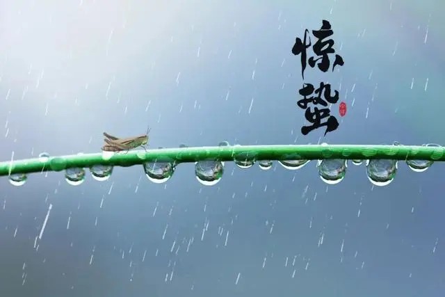 惊蛰