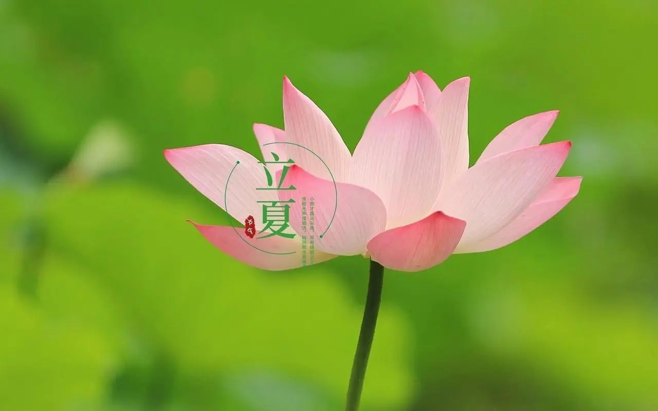 1~1