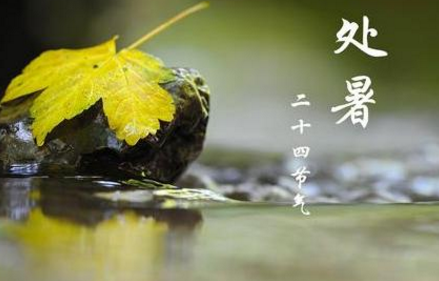 14处暑