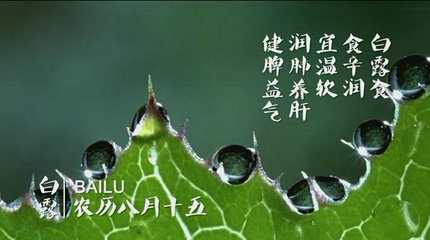 15白露