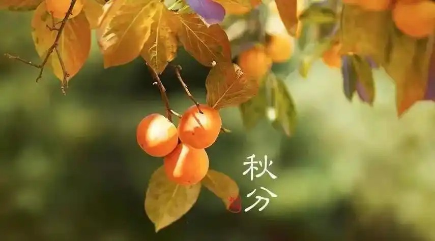 u=3895378048,3189104629&fm=253&fmt=auto&app=138&f=JPE