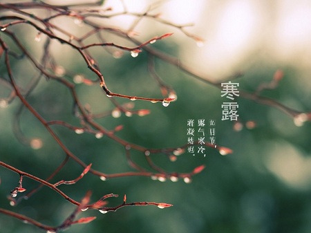 17寒露