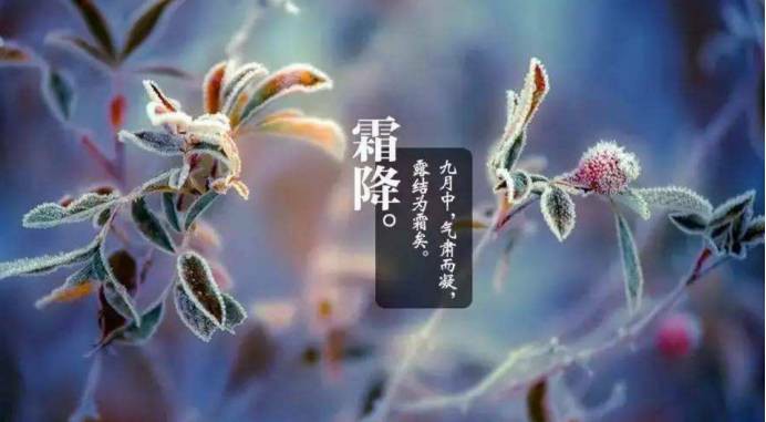 18霜降