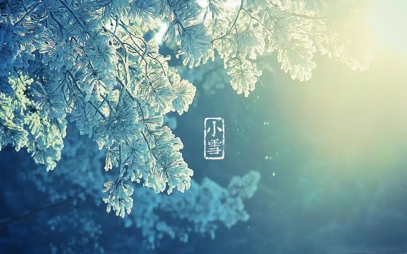 20小雪