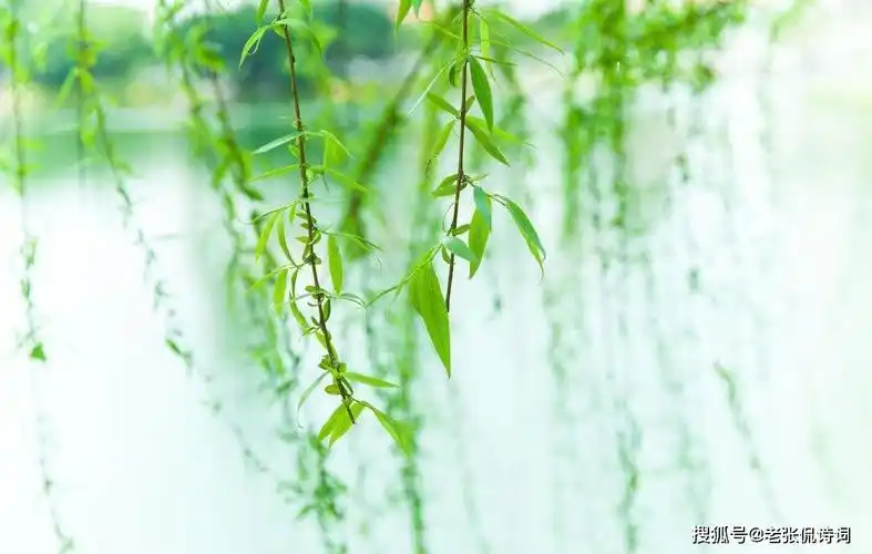 u=2519165129,2741429319&fm=253&fmt=auto&app=138&f=JPEG