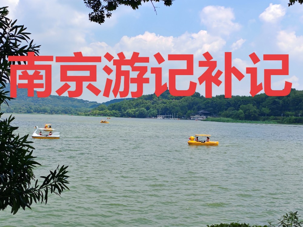 IMG_20250725_130225(1)