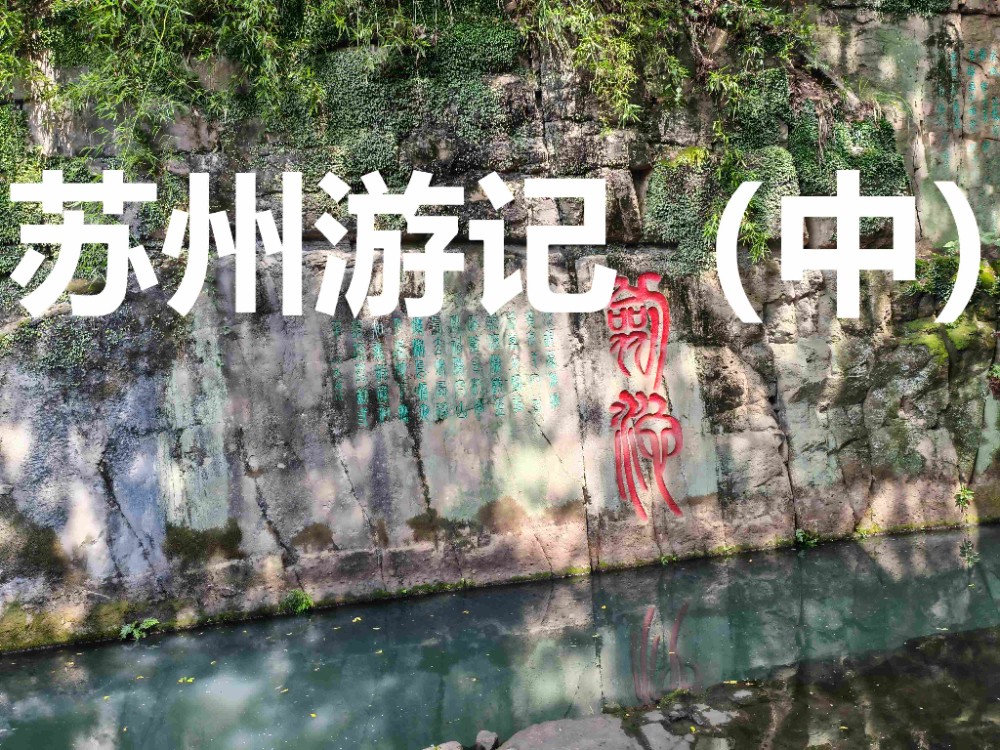 IMG_20250727_092955(1)