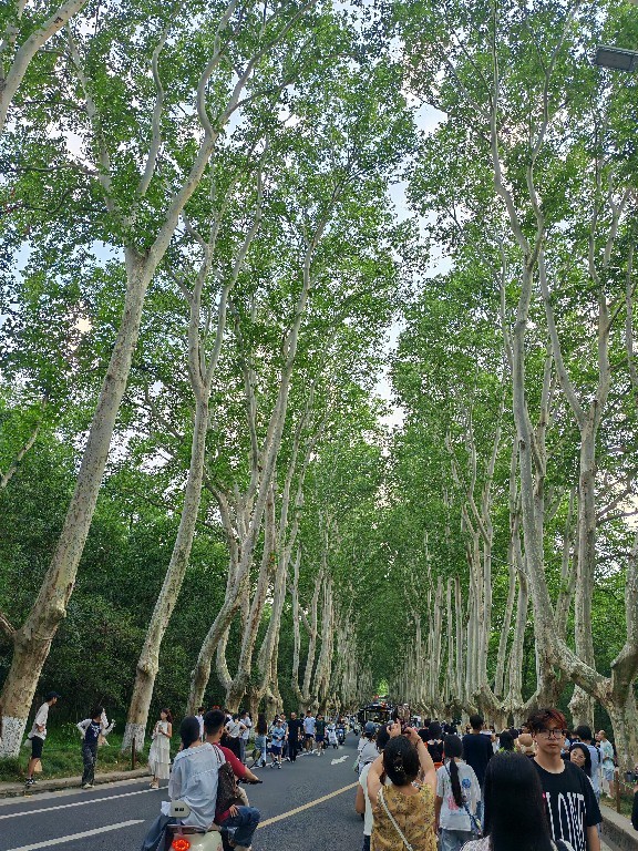 IMG_20250724_173909 IMG_20250724_173909