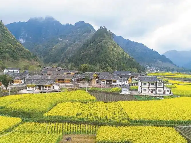 u=4189850345,1913209699&fm=253&fmt=auto&app=138&f=JPEG